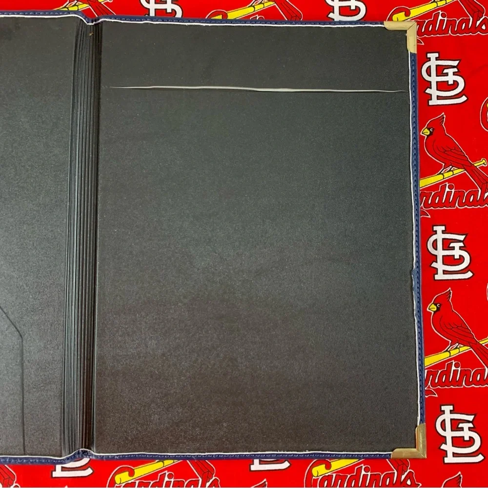 Rawlings Busch Stadium St. Louis Cardinals Notebook portfolio.